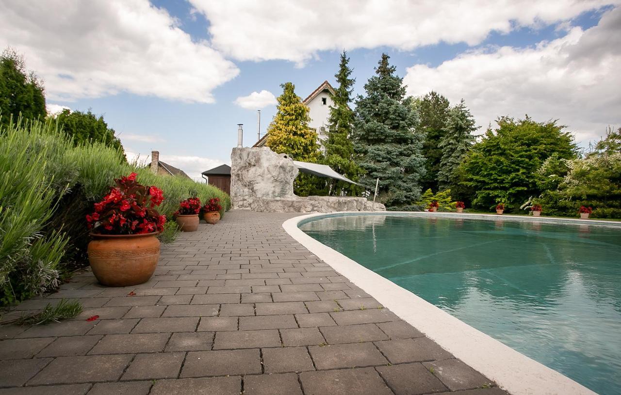 Forras Vendeghaz Villa Dunaegyhaza ภายนอก รูปภาพ